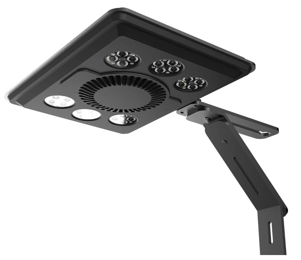 Amazon.co.jp: maxspect MJ－L165 LED 海水 サンゴ